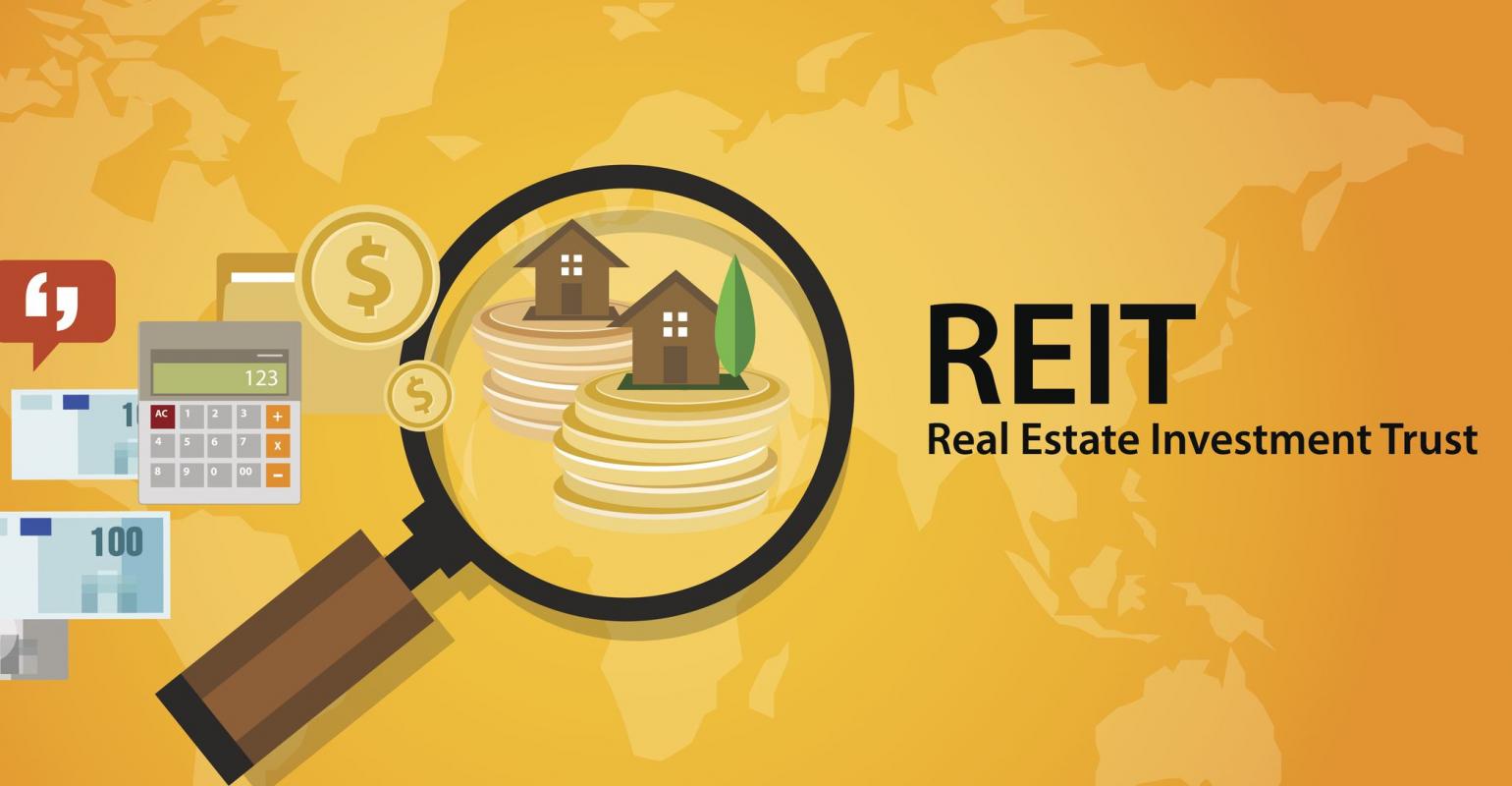 Crucial Questions for REIT Investors Wealth Management