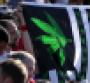 marijuana flag