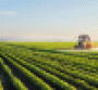 soybean field tractor