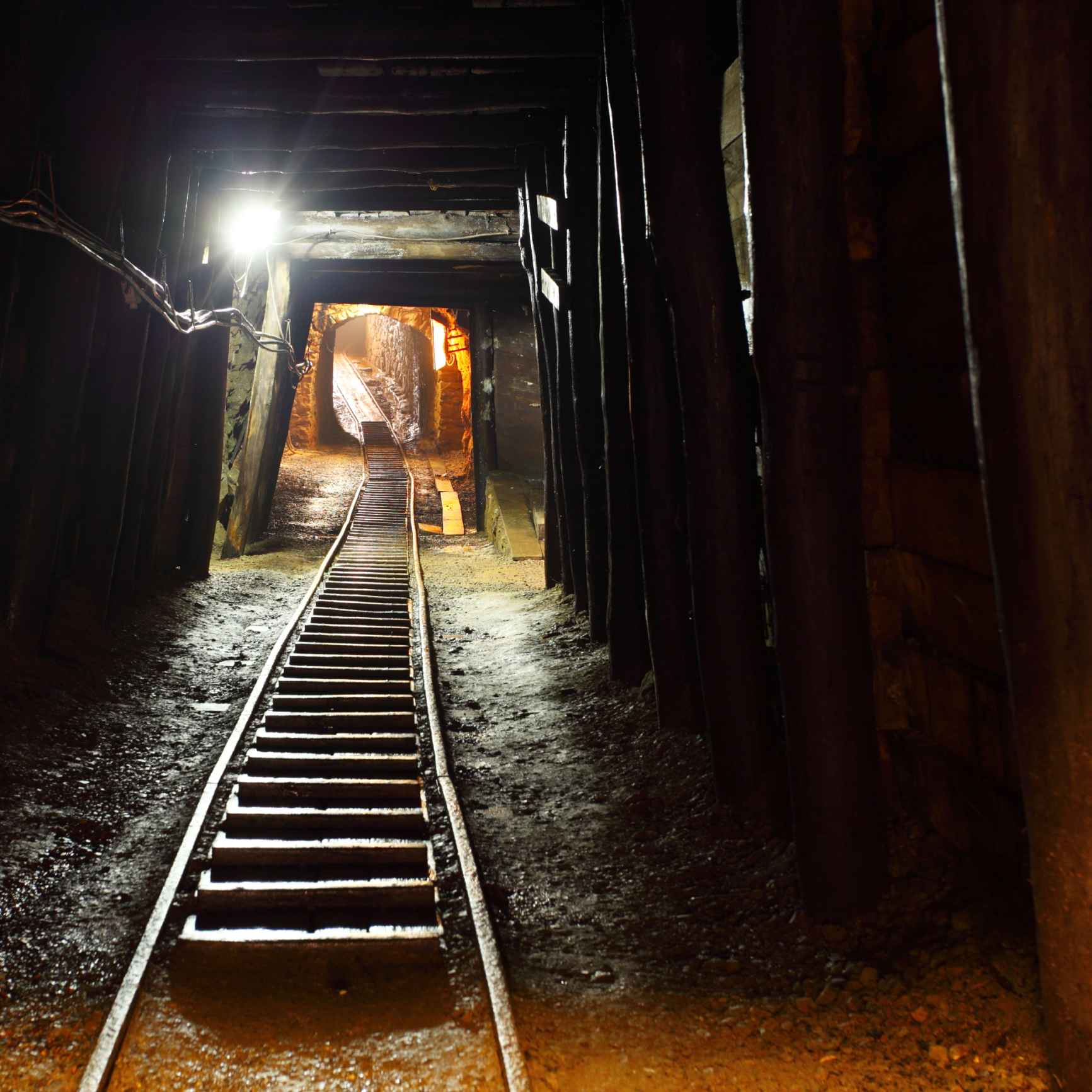 Canary in the Coalmine | Wealth Management